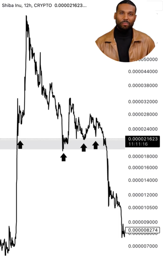 Shiba Inu 12h Chart Ali Martinez