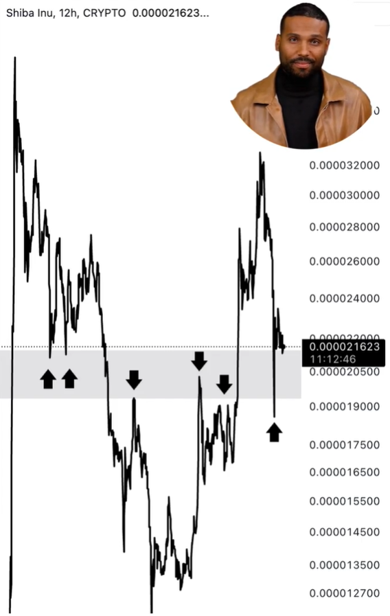 Shiba Inu 12h Chart Ali Martinez 2