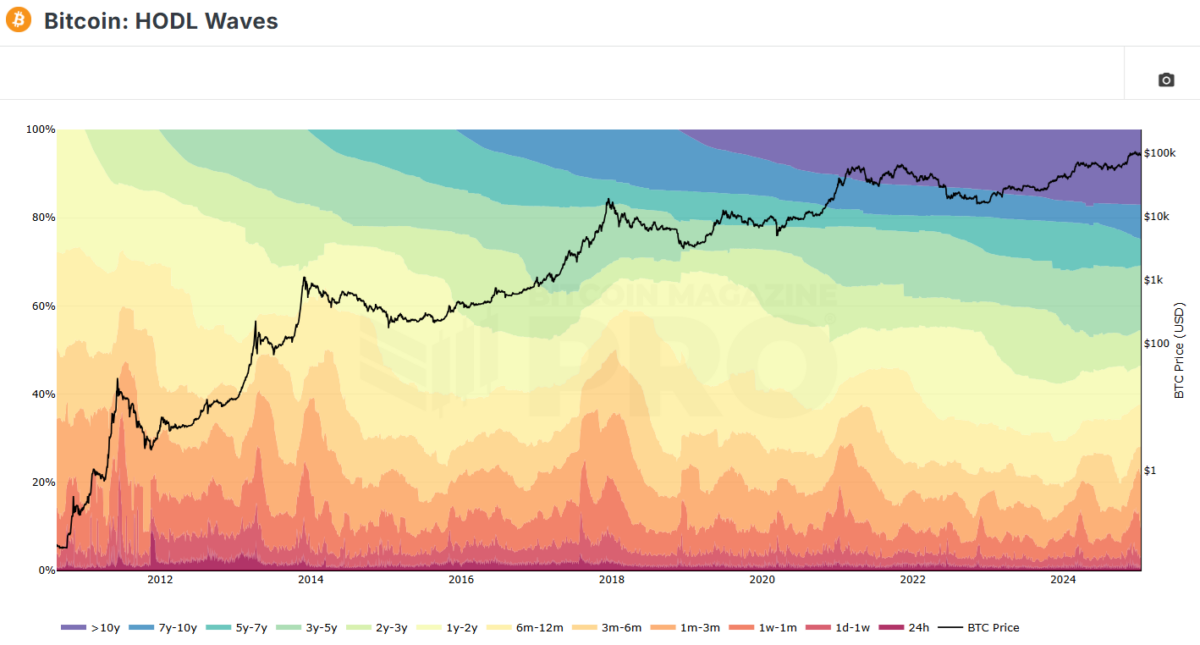 Bitcoin holders with new wallets hold over 25% of the supply, with a mix of whale and retail buying.