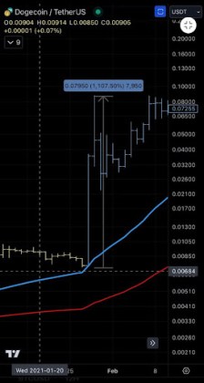 Dogecoin price 1