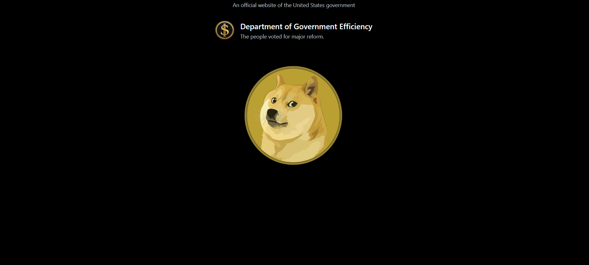 Screengrab of US DOGE Official Website