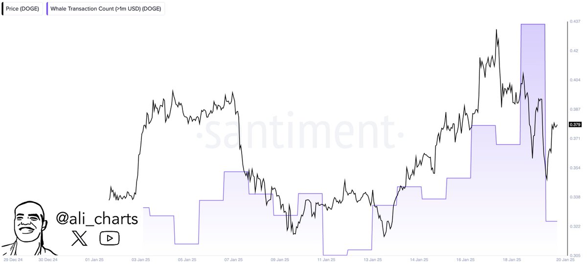 Dogecoin Whale Transactions