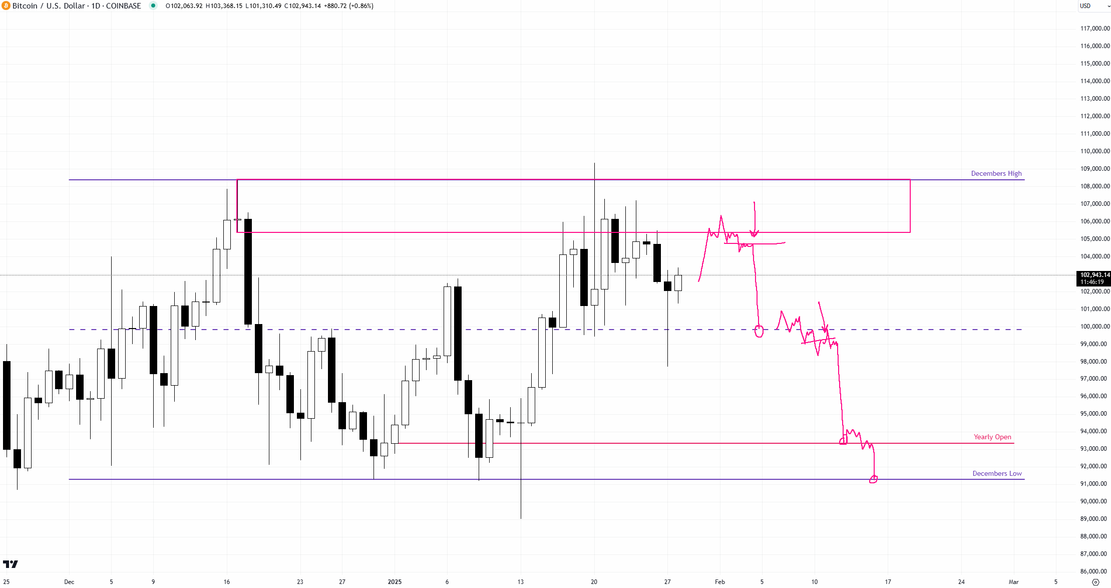 Bitcoin 1D Chart Trader Daink