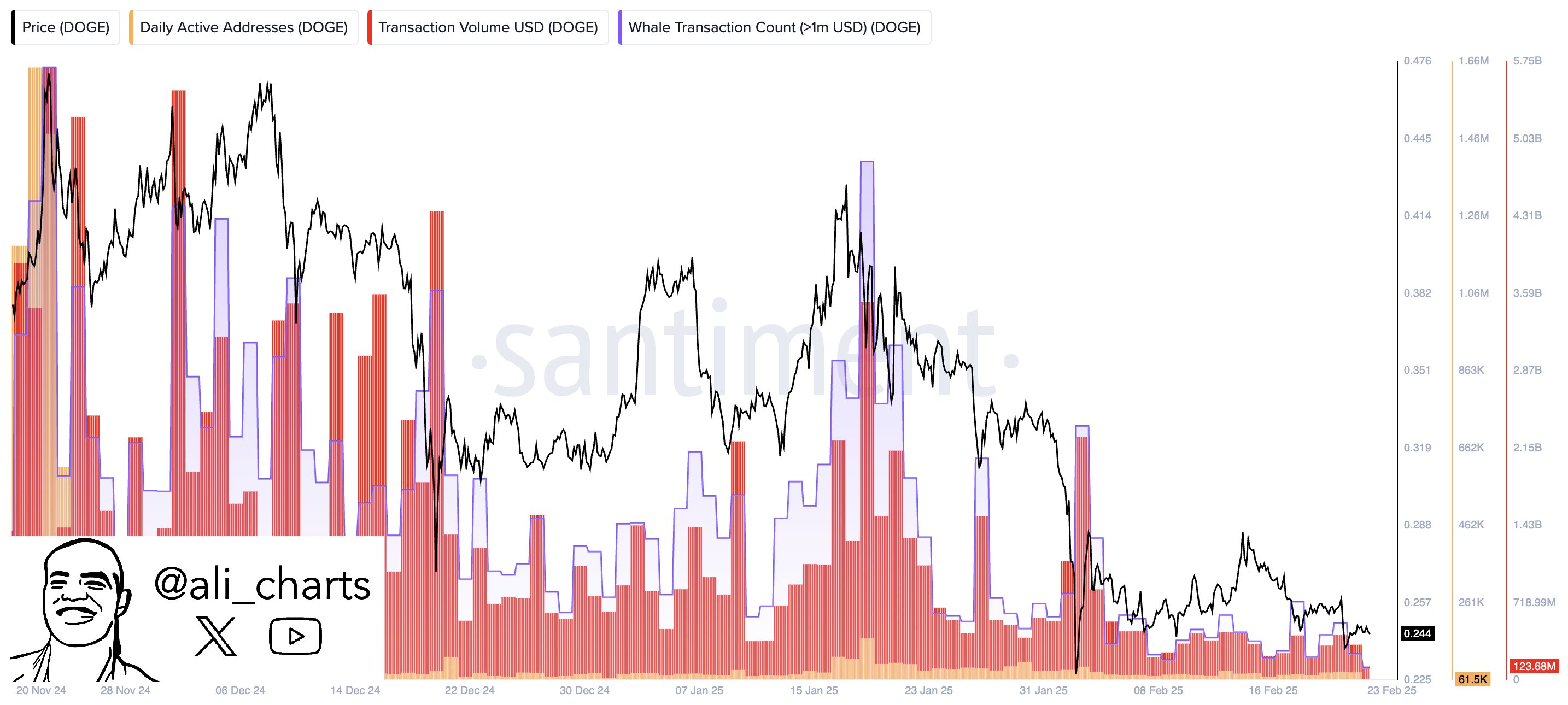 Dogecoin Network Activity