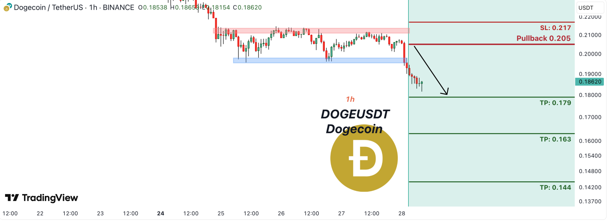 DOGEUSDT 1H Price Chart